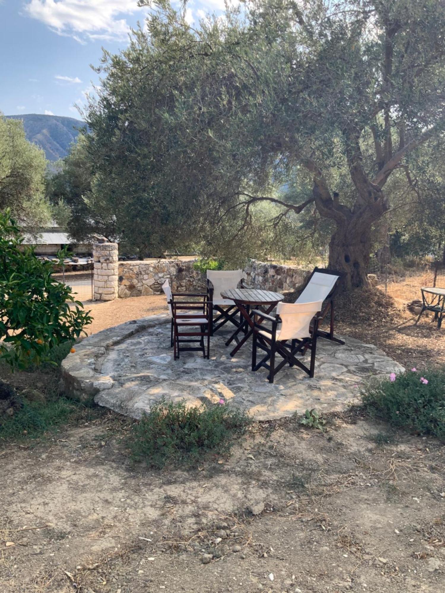 Villa Gloria Plataria Igoumenitsa Exterior foto